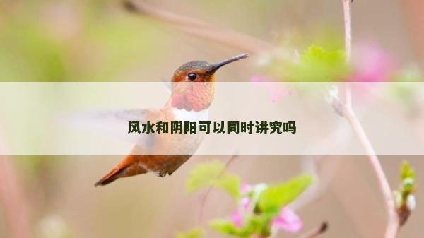 風水和陰陽可以同時講究嗎