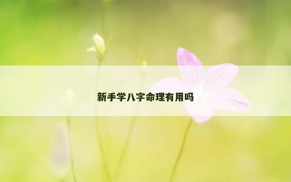 新手學(xué)八字命理有用嗎