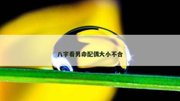 八字看男命配偶大小不合