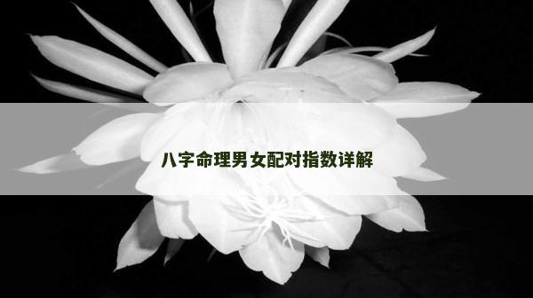 八字命理男女配對指數詳解