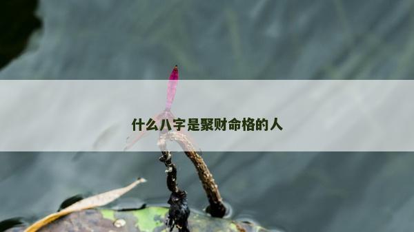 什么八字是聚財命格的人
