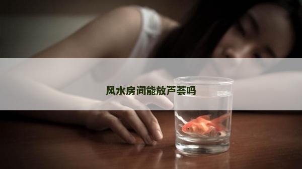 風(fēng)水房間能放蘆薈嗎