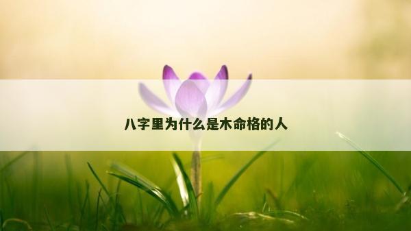 八字里為什么是木命格的人