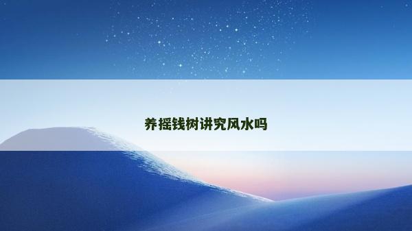 養搖錢樹講究風水嗎