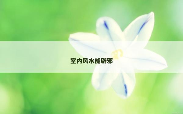 室內(nèi)風(fēng)水能辟邪