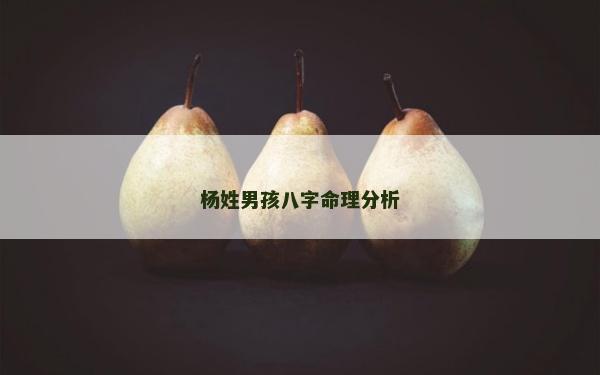楊姓男孩八字命理分析