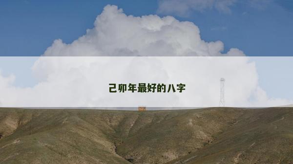 己卯年最好的八字