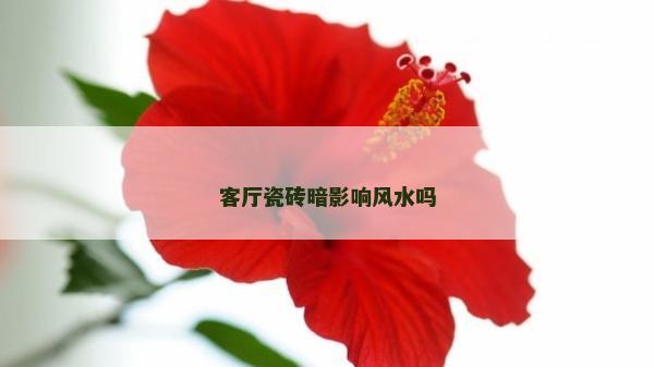 客廳瓷磚暗影響風(fēng)水嗎