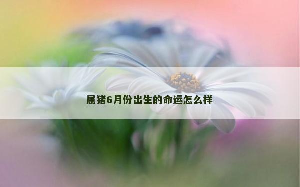 屬豬6月份出生的命運(yùn)怎么樣