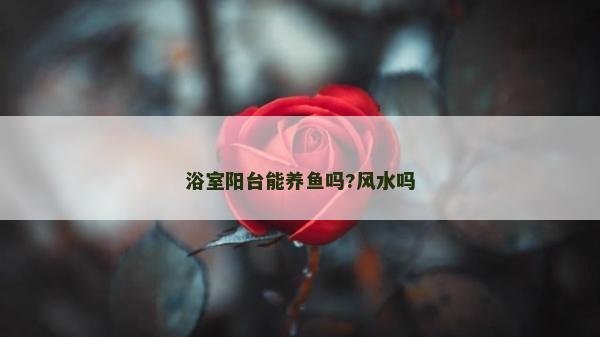 浴室陽臺能養(yǎng)魚嗎?風(fēng)水嗎