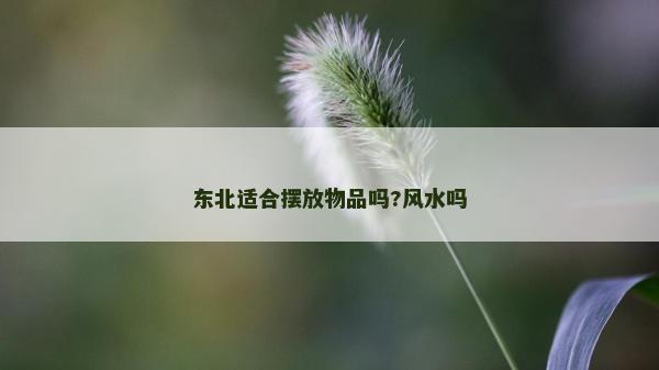 東北適合擺放物品嗎?風(fēng)水嗎 東北適合擺放物品嗎?風(fēng)水嗎