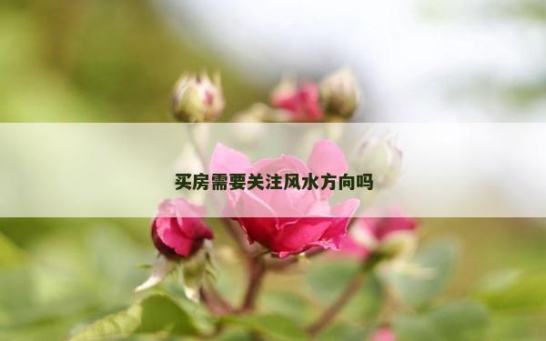 買房需要關注風水方向嗎