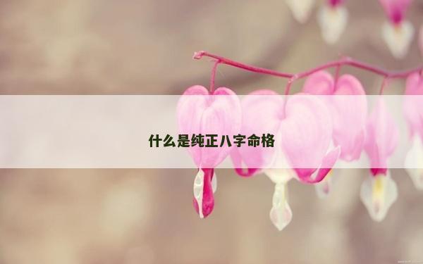 什么是純正八字命格