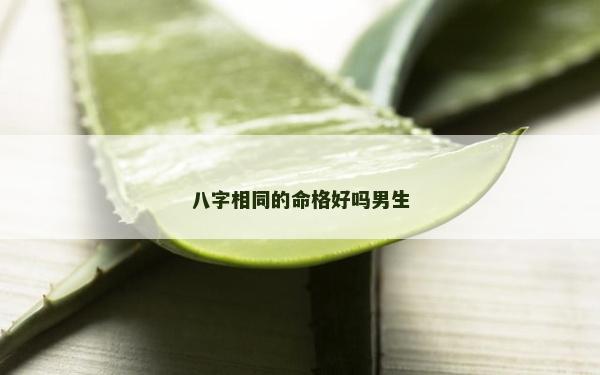 八字相同的命格好嗎男生