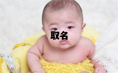 魯姓取名朗朗上口的男寶寶名字