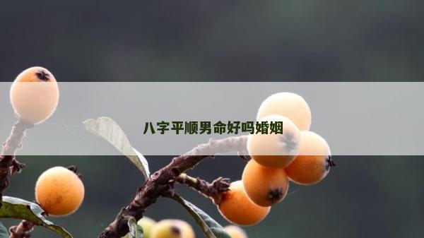 八字平順男命好嗎婚姻