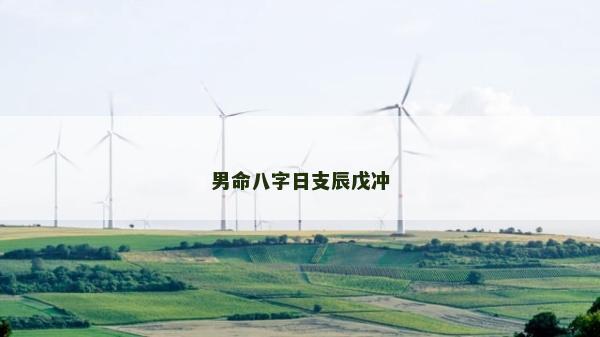男命八字日支辰戊沖