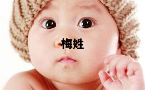 梅姓有涵養的女寶寶名字