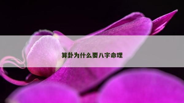 算卦為什么要八字命理