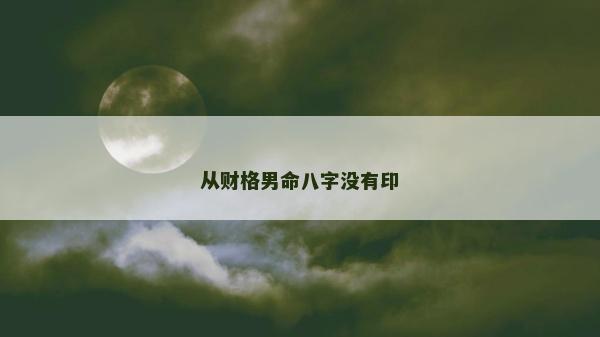 從財格男命八字沒有印