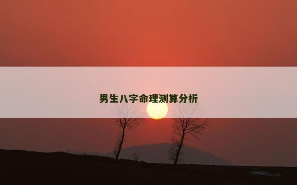 男生八字命理測算分析