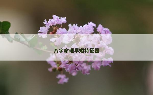 八字命理早婚特征是