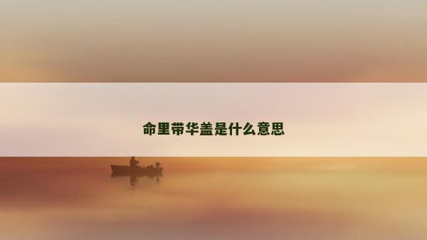 命里帶華蓋是什么意思