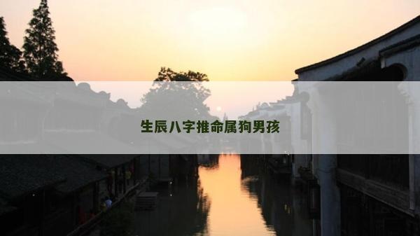 生辰八字推命屬狗男孩
