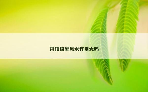丹頂錦鯉風水作用大嗎