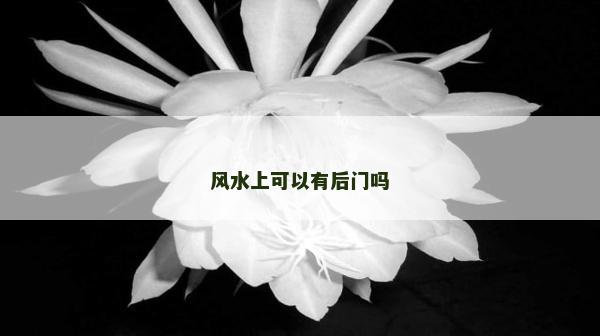 風水上可以有后門嗎