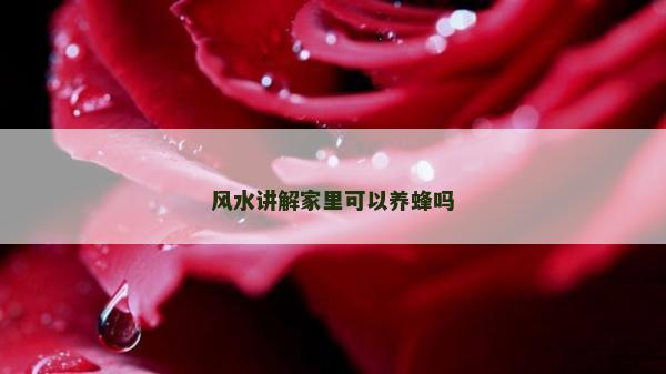 風水講解家里可以養蜂嗎