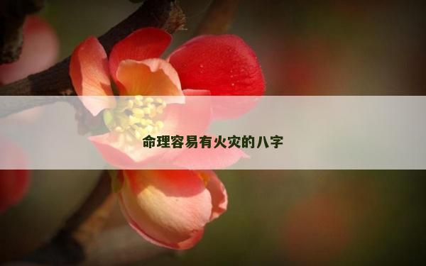 命理容易有火災(zāi)的八字