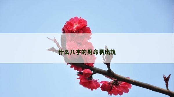 什么八字的男命易出軌