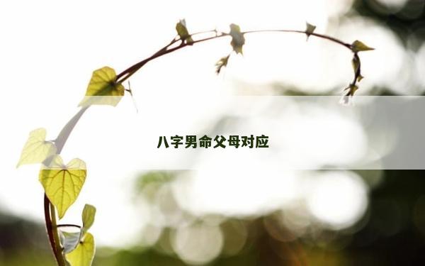 八字男命父母對應(yīng)