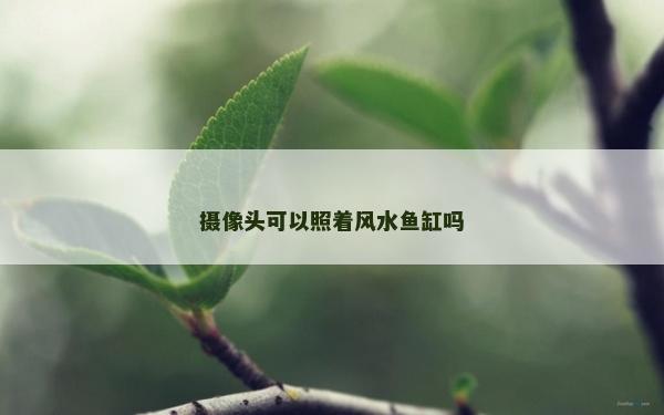 攝像頭可以照著風(fēng)水魚缸嗎