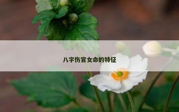 八字傷官女命的特征