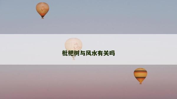 枇杷樹與風水有關嗎