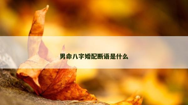 男命八字婚配斷語是什么