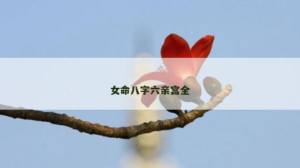 女命八字六親宮全