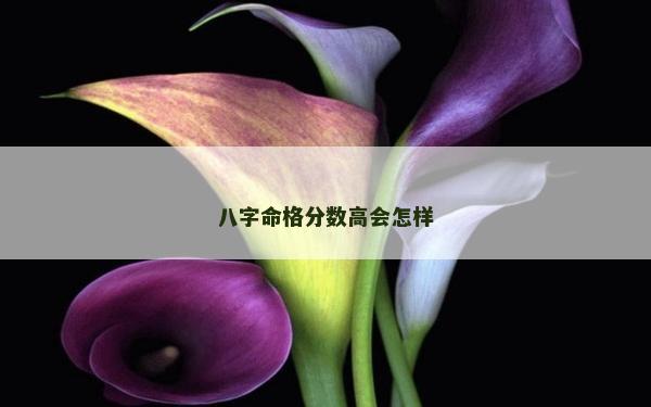 八字命格分數高會怎樣