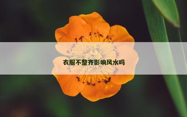 衣服不整齊影響風(fēng)水嗎