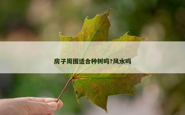 房子周圍適合種樹嗎?風水嗎
