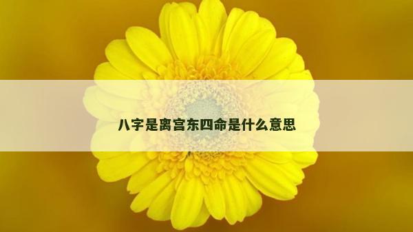 八字是離宮東四命是什么意思