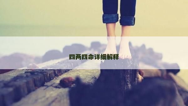 四兩四命詳細解釋