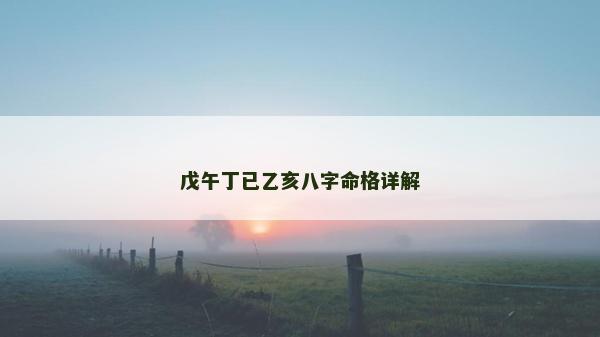 戊午丁已乙亥八字命格詳解