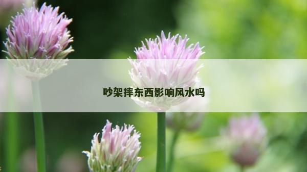 吵架摔東西影響風水嗎