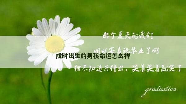 戌時出生的男孩命運怎么樣