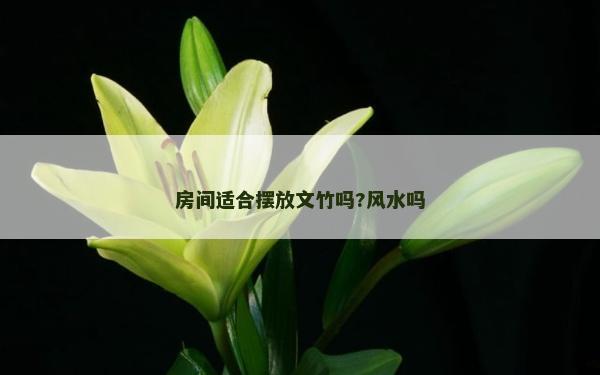 房間適合擺放文竹嗎?風水嗎