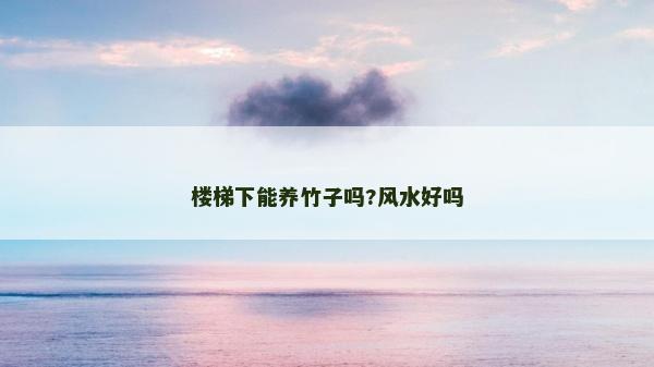 樓梯下能養竹子嗎?風水好嗎
