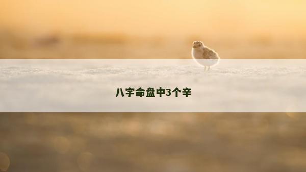 八字命盤中3個(gè)辛
